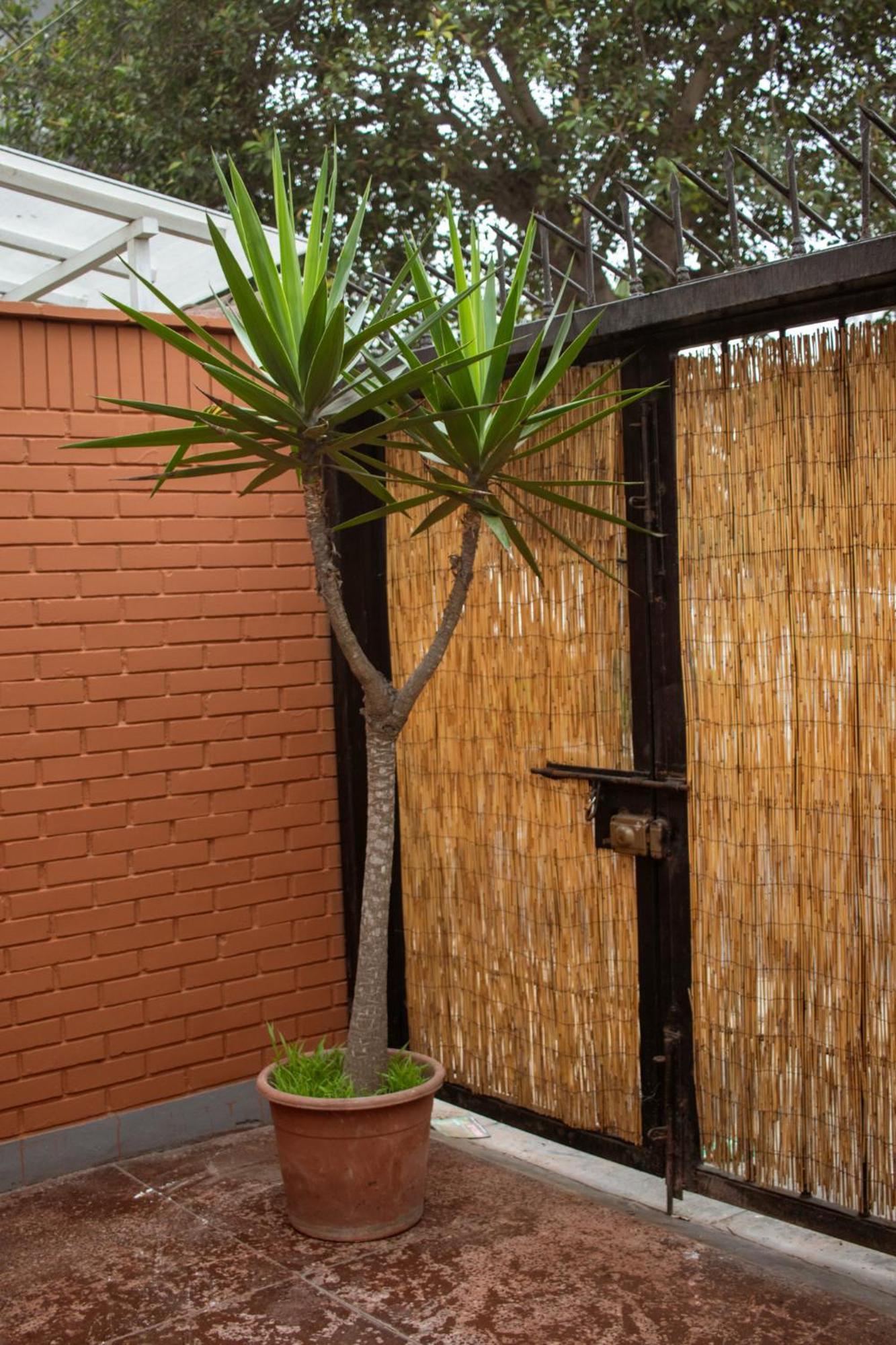 Temazcal Hostel Lima Exteriér fotografie