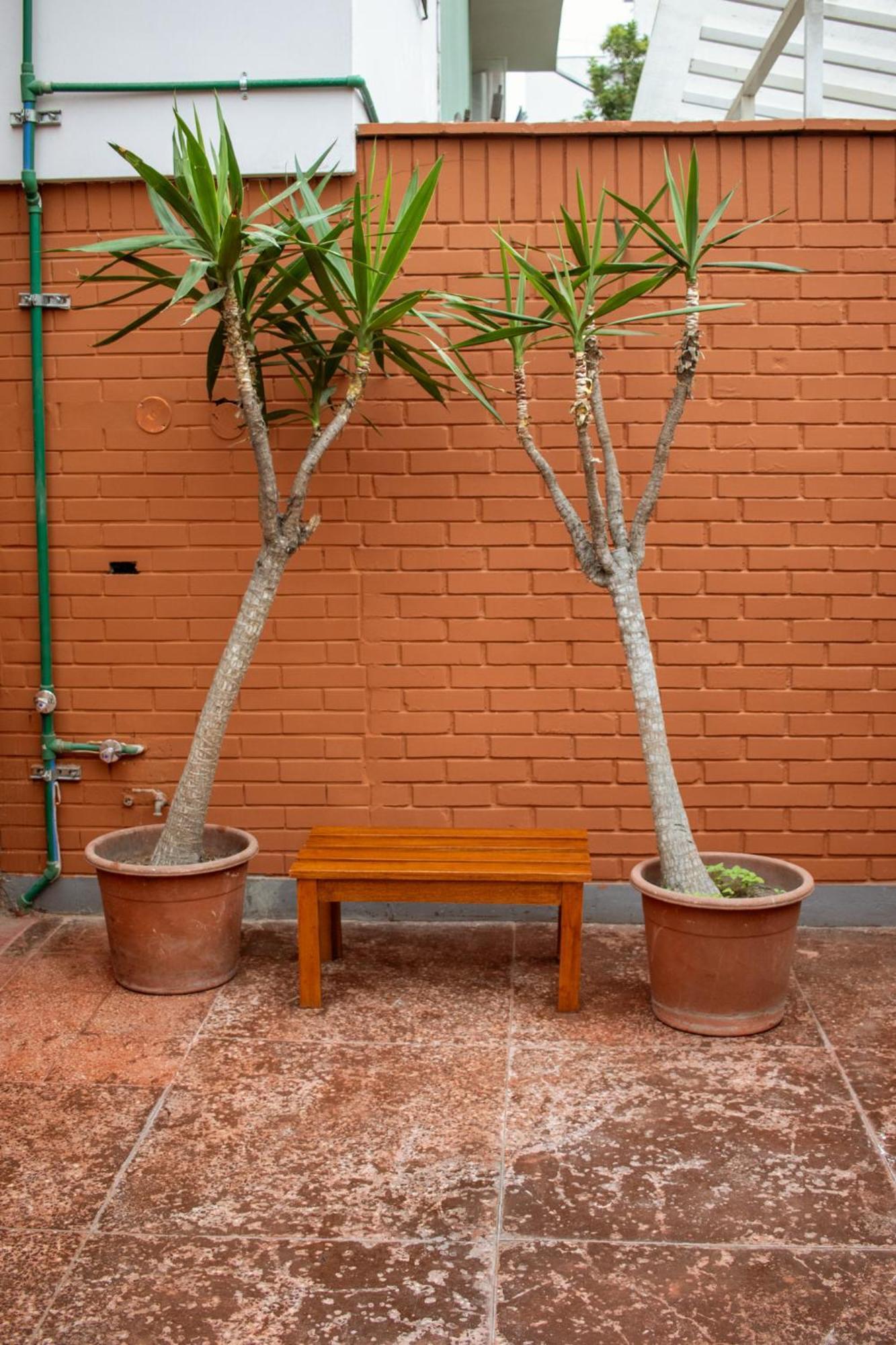 Temazcal Hostel Lima Exteriér fotografie