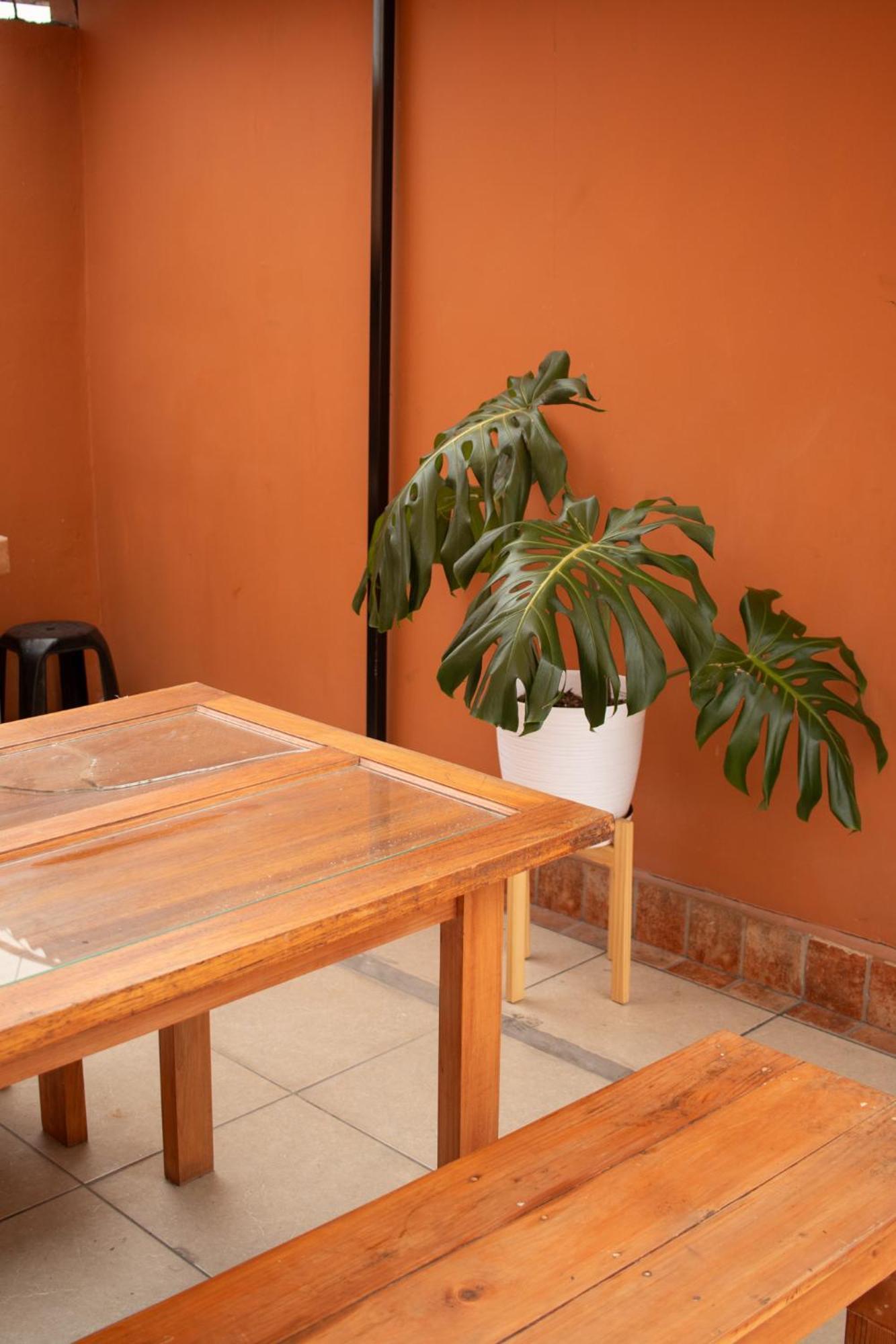 Temazcal Hostel Lima Exteriér fotografie